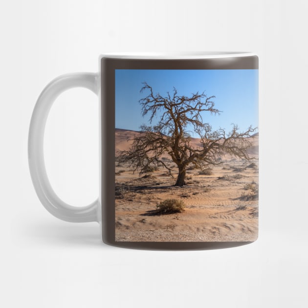 Acacia tree in the desert. by sma1050